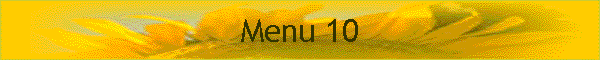 Menu 10