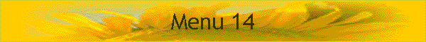 Menu 14