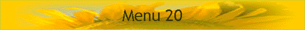 Menu 20